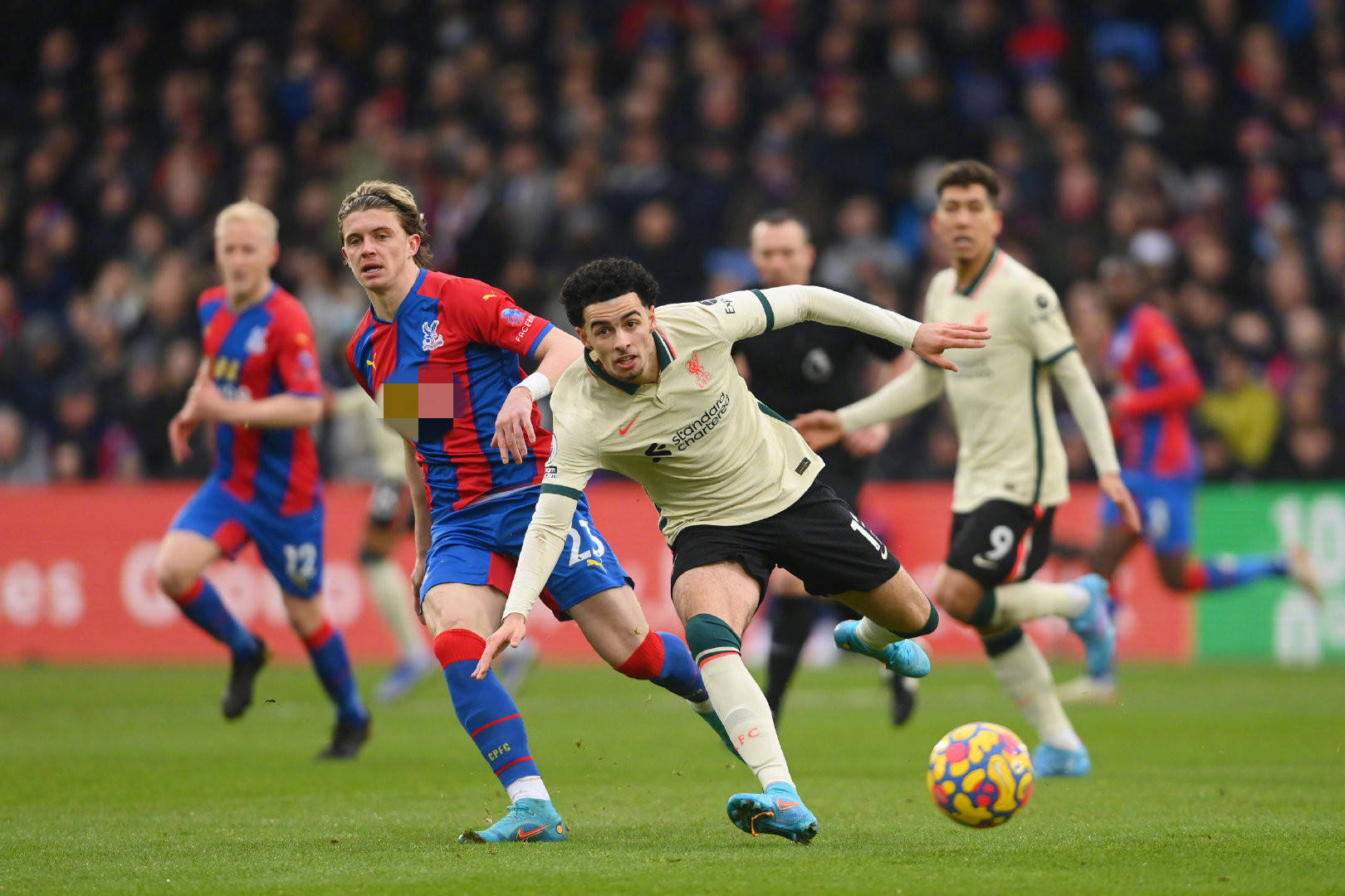 发了热议 发了热议